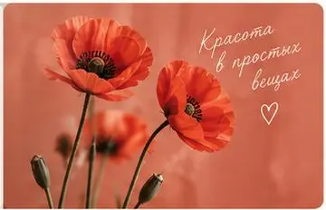 Детали коллекции МАК